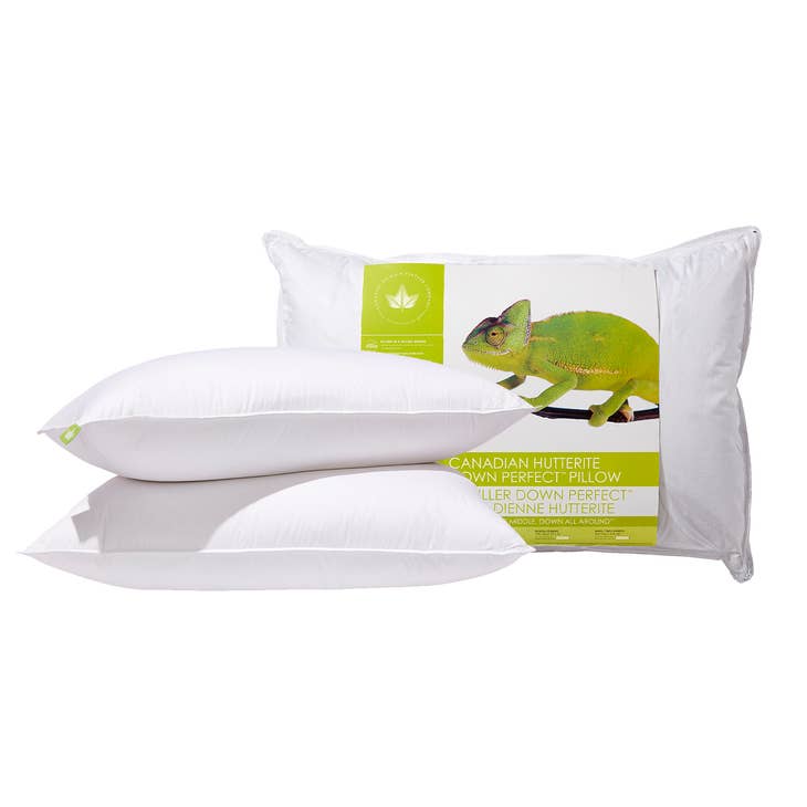 Wholesale Canadian Hutterite Down Perfect Pillow for your store
