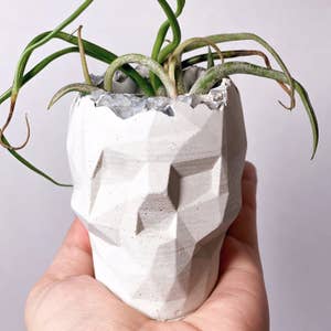Purchase Wholesale skull planter. Free Returns & Net 60 Terms on 