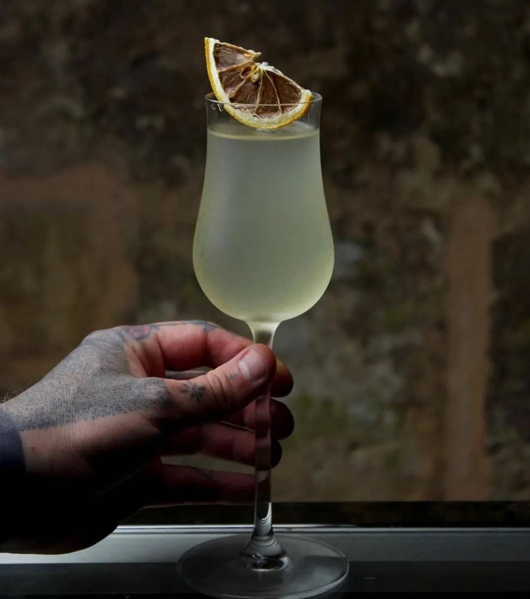 EXTRADRY - Wholesale Dried/Dehydrated Fruit - Extra Dry Dried Lemons for Cocktail3