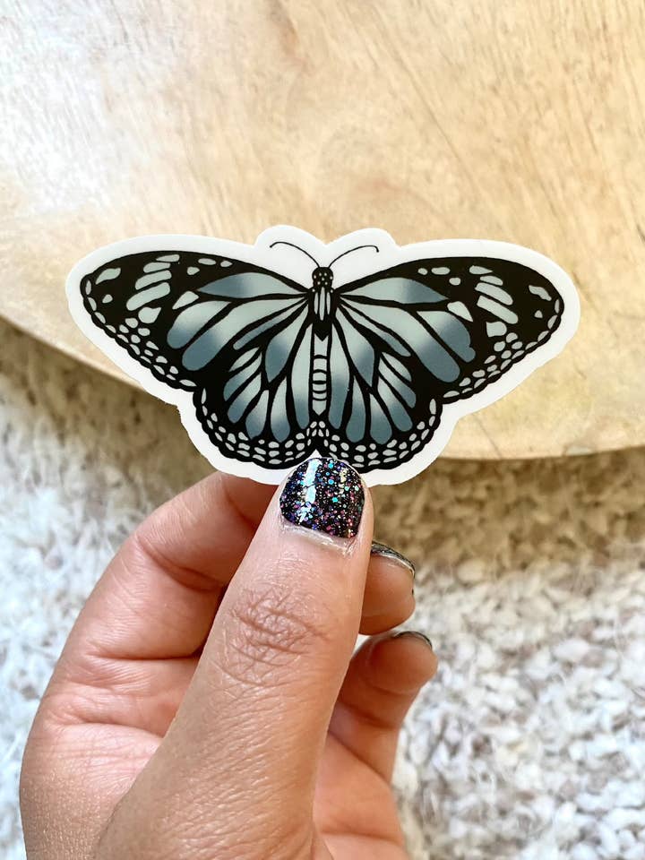 Blå Butterfly for engroshandel hos Rinavation, Llc