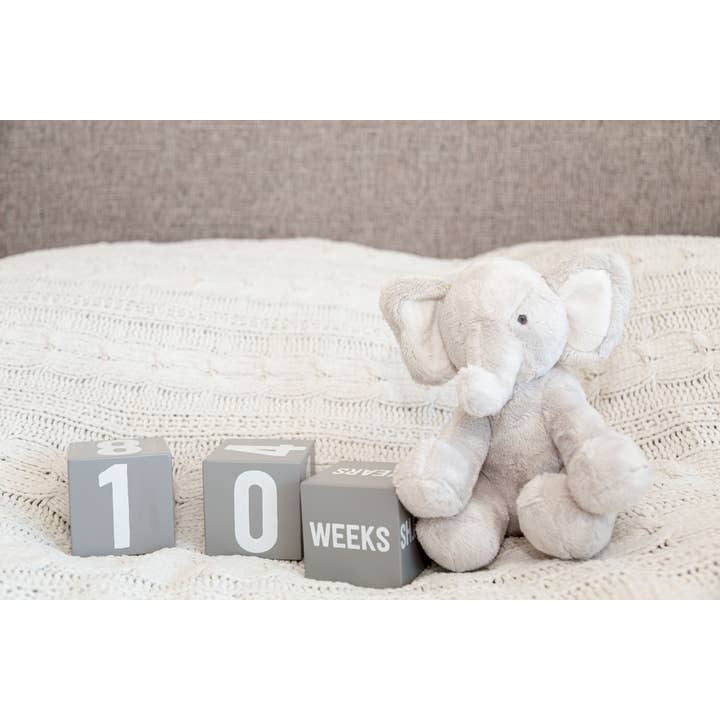 Kate & Milo - Wholesale Milestone Age Block - Kids & Baby - Wooden Milestone Age Blocks Photo Prop8