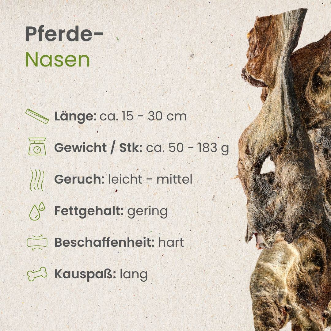 Kauartikel.com GmbH – Couro/osso para cão - Cão por atacado – Narizes de cavalo2