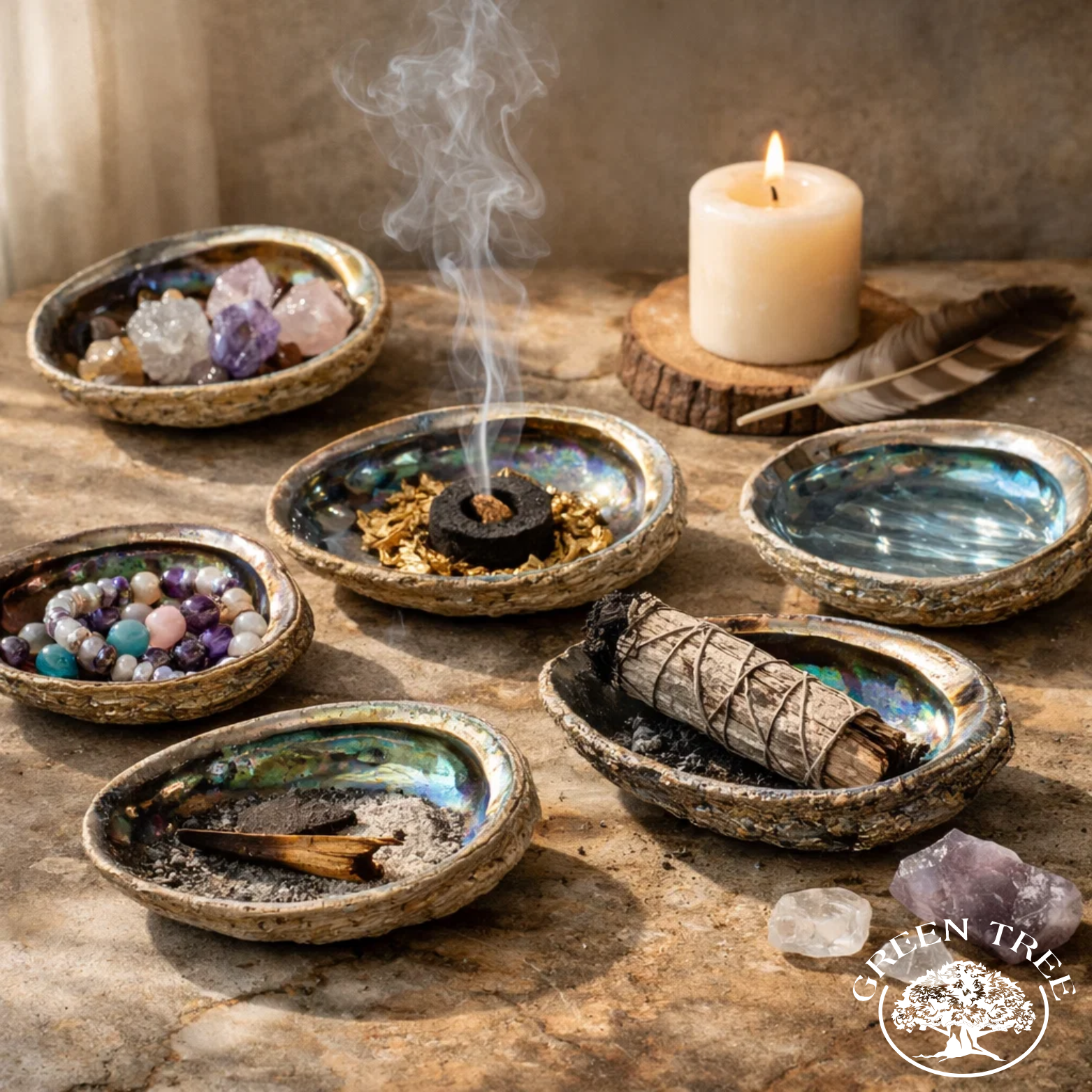 Green Tree – wholesale Decorative plate/dish/bowl – Abalone Shell Green 12-15CM3