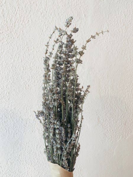 Uma Cantik - Wholesale Dried/Pressed Flowers - Lavender Dried Flowers1
