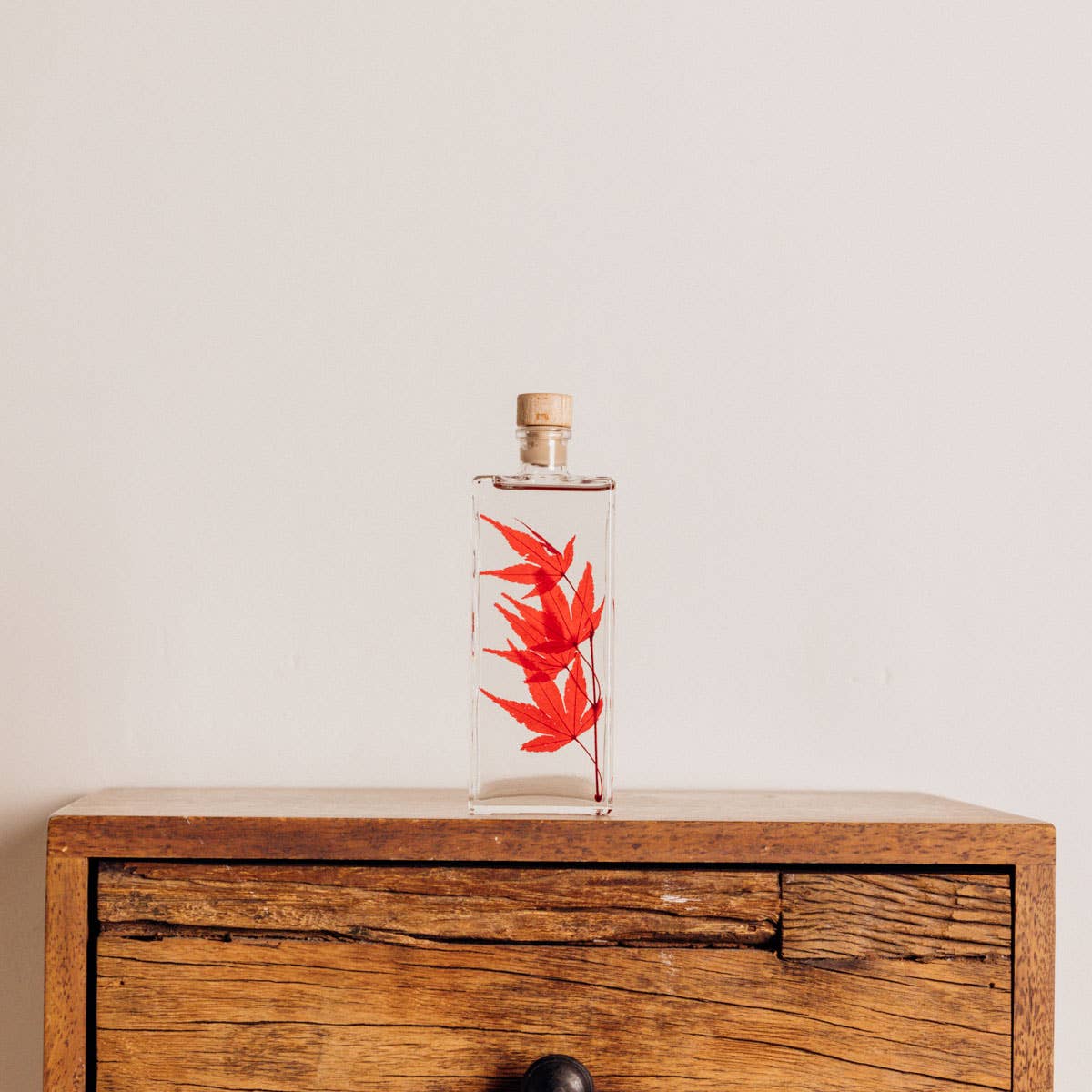 Theophile Berthon - Wholesale Live Plant - Red Maple Herbarium submerged plant1