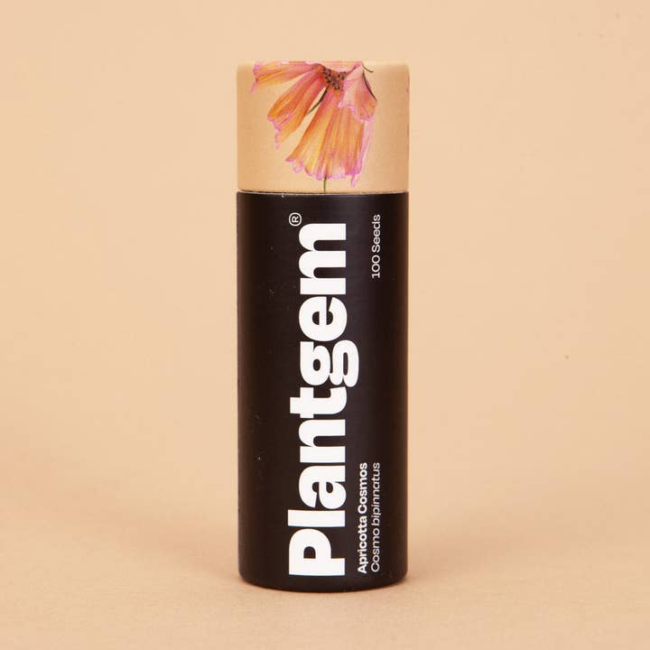 Apricotta Cosmos - 100 Seeds for wholesale by Plantgem