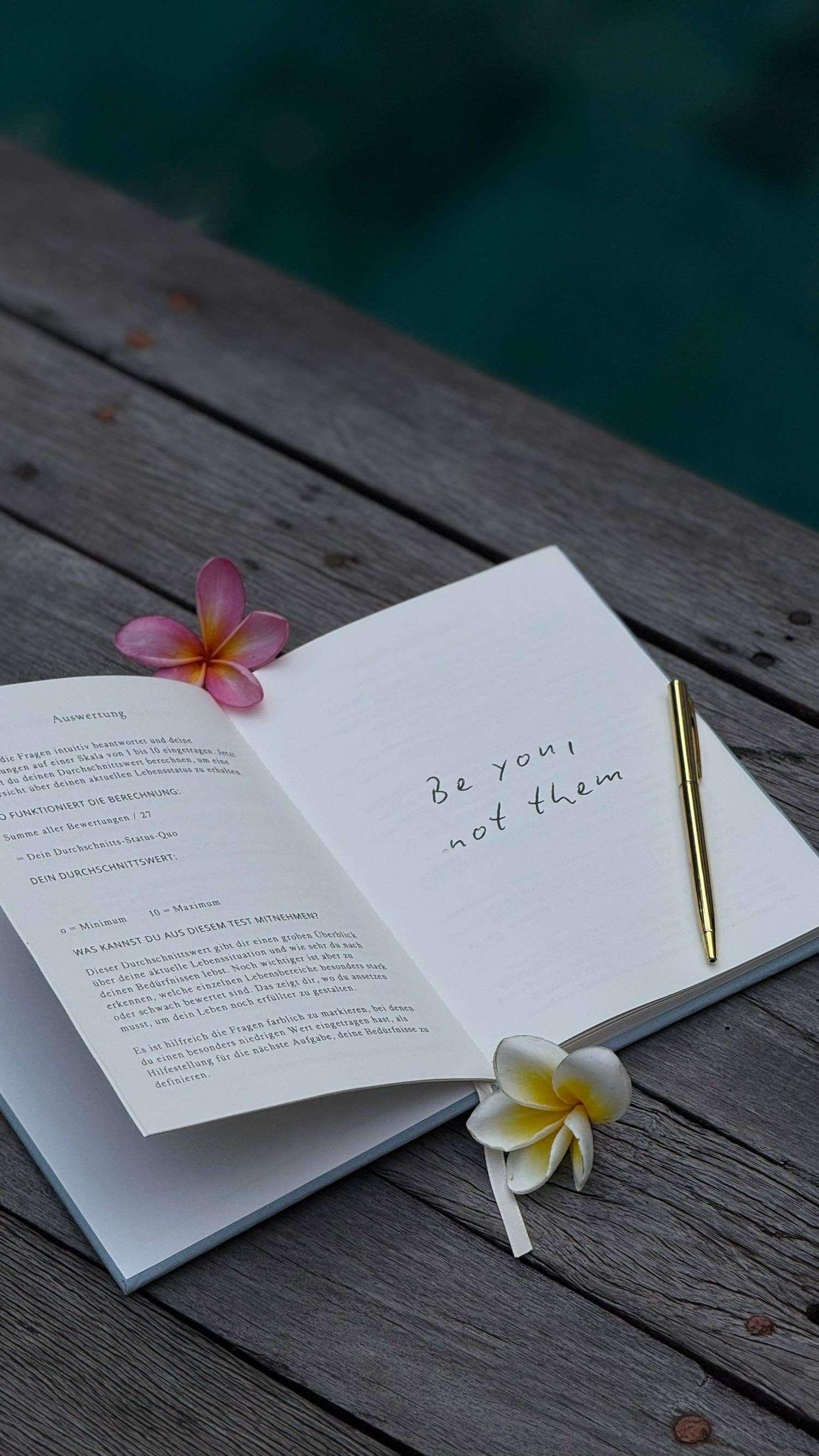 The Life Barn - Wholesale Journal Cover - THE LIFE BARN Abundance Journal light blue7