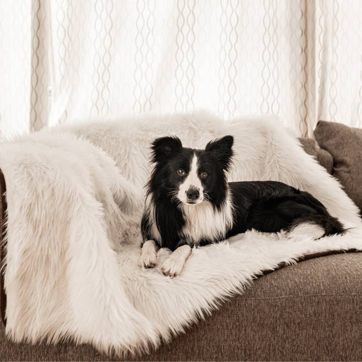Paw Brands - Wholesale Pet Blanket - Dog - PupProtectorâ„¢ Waterproof Throw Blanket - Polar White