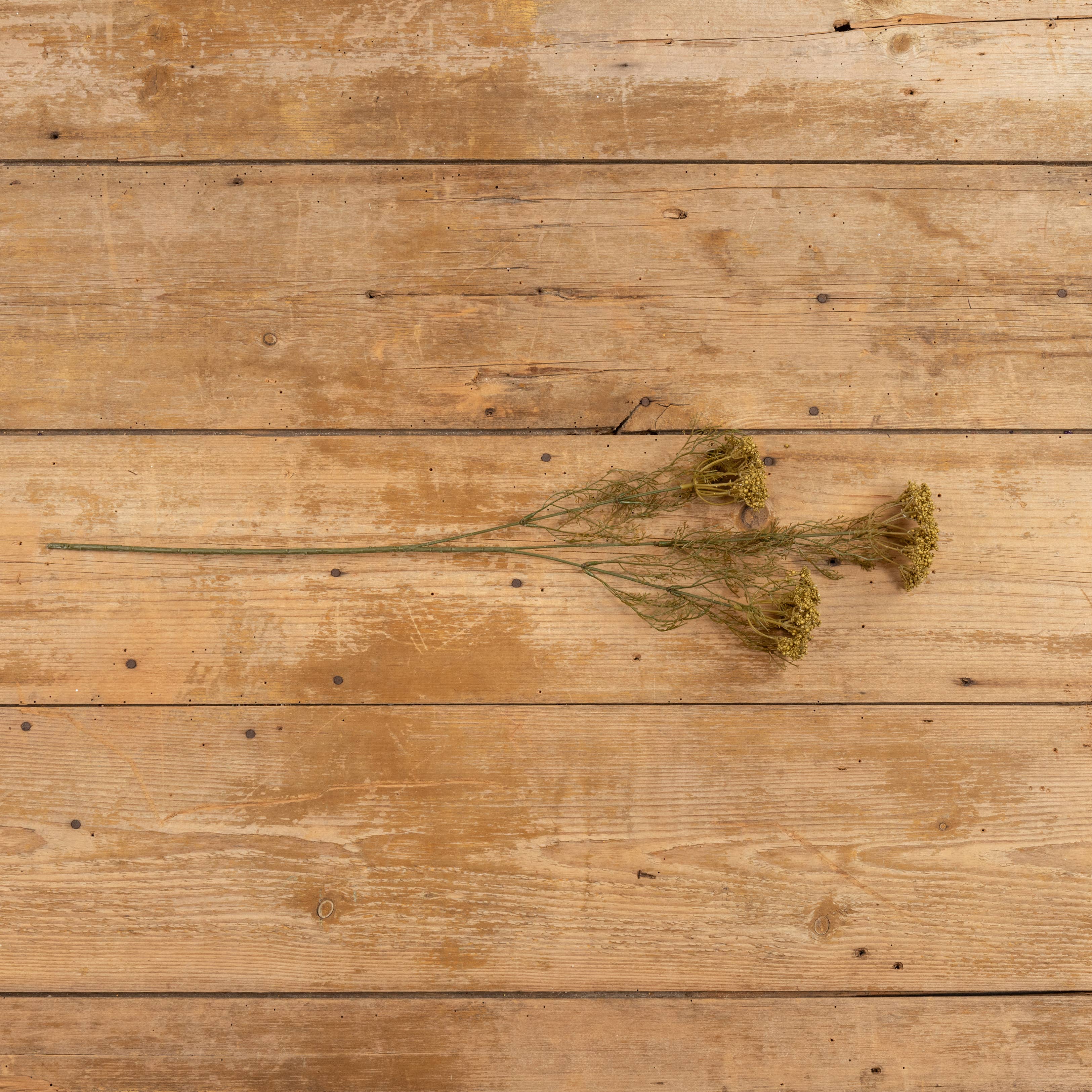 Ragon House - Wholesale Artificial Plant - 28" GREEN QUEEN ANNE LACE SPRAY2