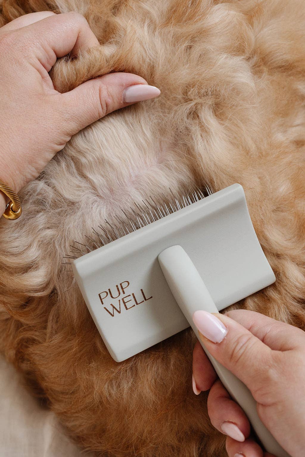 Pupwell - Wholesale Pet Brush - Cat/Dog - Everyday Slicker Brush7