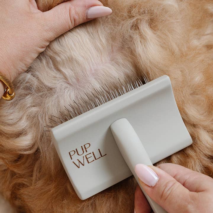 Pupwell - Wholesale Pet Brush - Cat/Dog - Everyday Slicker Brush7