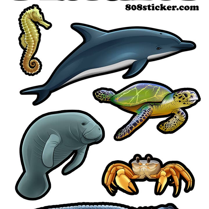 Folha de Autocolantes de Animais da Florida - Conjunto de 10 folhas de autocolantes por atacado de Aurora Stickers