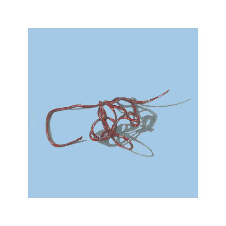 Hatton Daniels Zweigelt Mokelumne Glen 2018 für den Großhandel von COAST by ALLY Wines