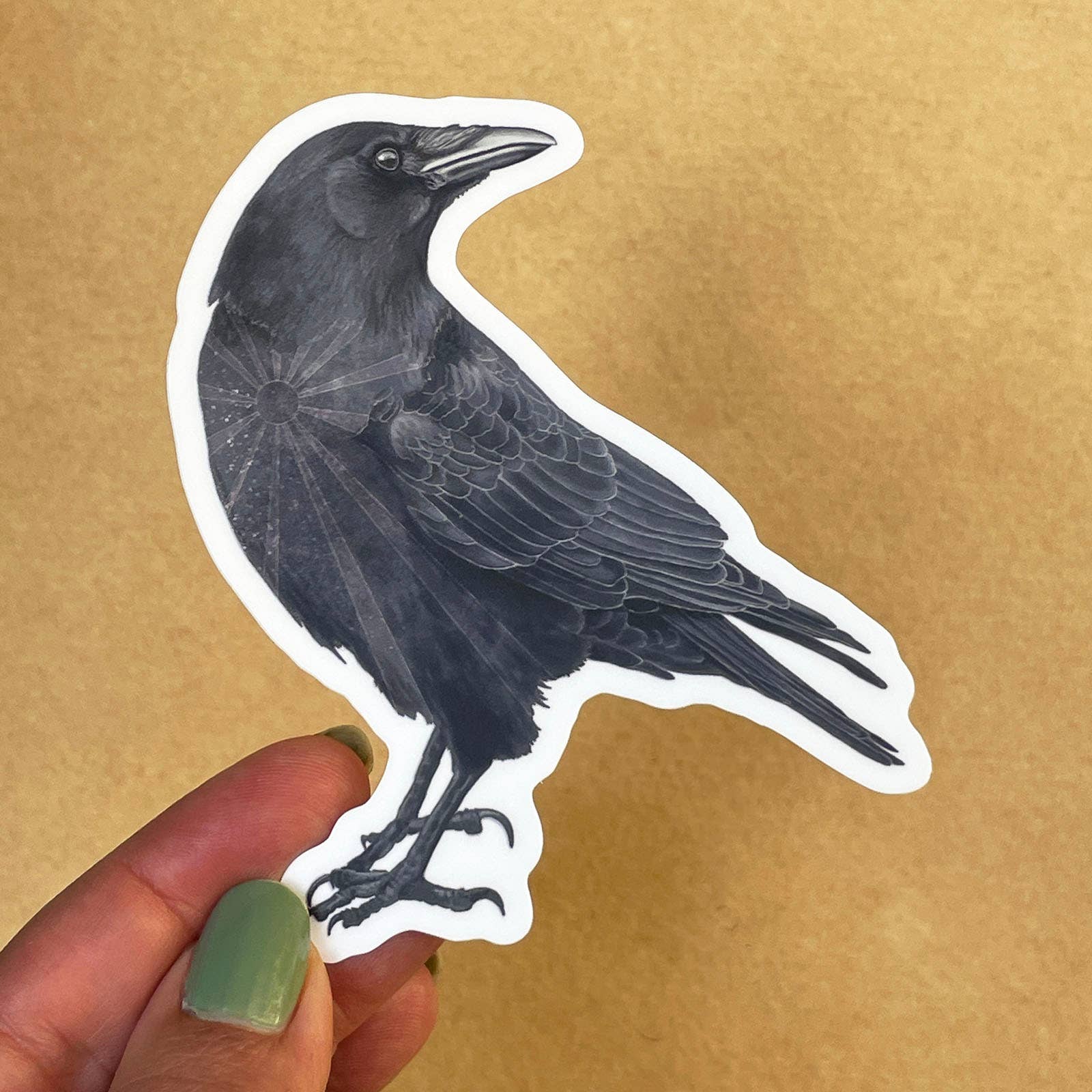 Amy Rose Moore Illustration - Wholesale Sticker - Crow Vinyl STICKER1