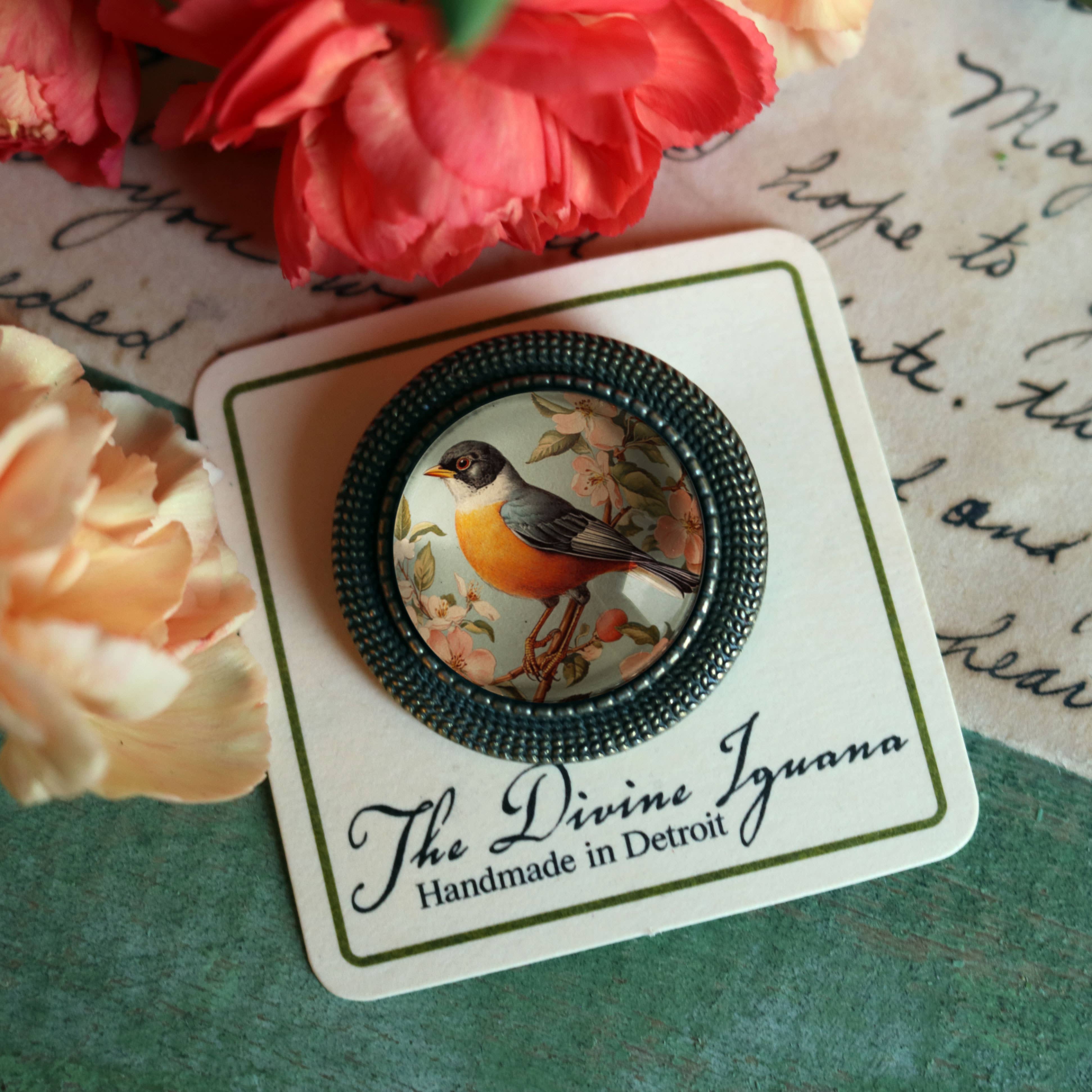 The Divine Iguana - Wholesale Brooch - Vintage Robin Spring Bird Glass Cabochon Brooch4