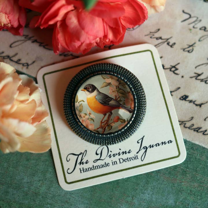 The Divine Iguana - Wholesale Brooch - Vintage Robin Spring Bird Glass Cabochon Brooch4
