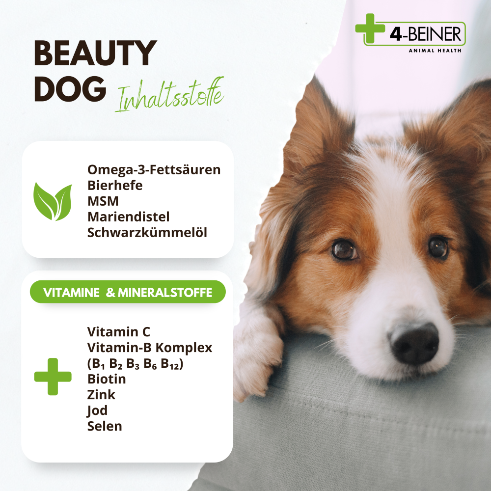 Kauartikel.com GmbH - Wholesale Pet Supplement - Dog - 4-legged beauty dog 80g2