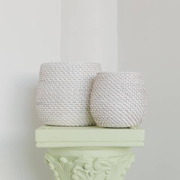 Viridi - Wholesale Plant Pot - Olla Rattan Planter Set of 21