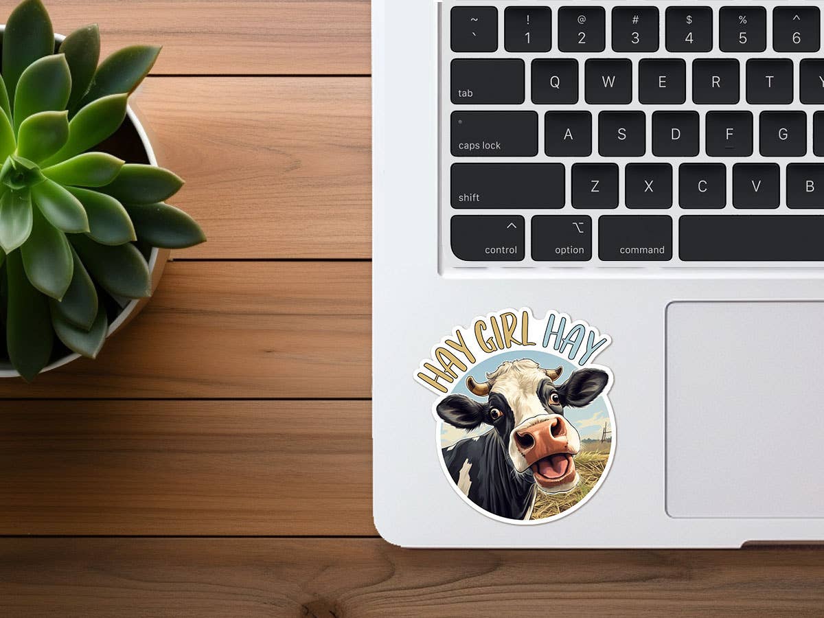 Missional Merch - Wholesale Sticker - Hay Girl Hay Cow Sticker | Farm |  Funny Sticker | Vinyl1