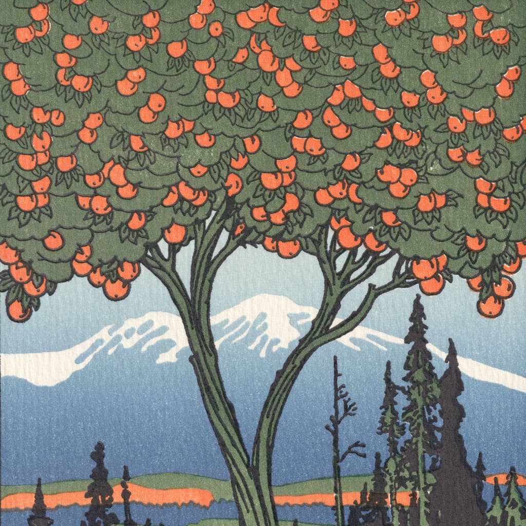 Saturn Press – wholesale Everyday greeting card – Orange Tree2