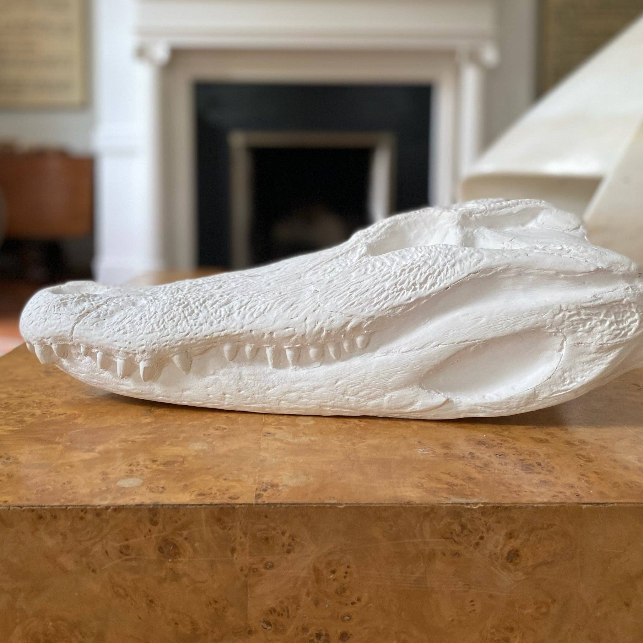 House Parts, Inc. - Wholesale Decorative Figurine - Alligator Skull2