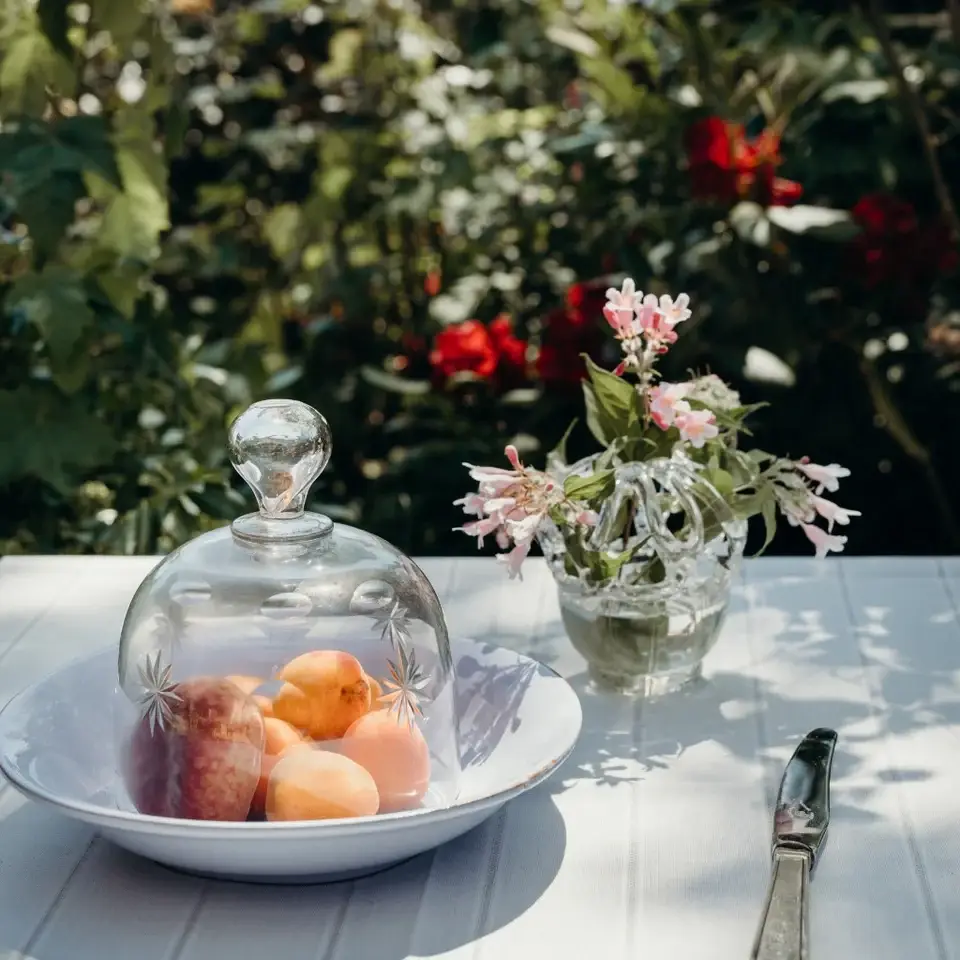 CASAgent - Wholesale Serving Plate - Pasta plate 258