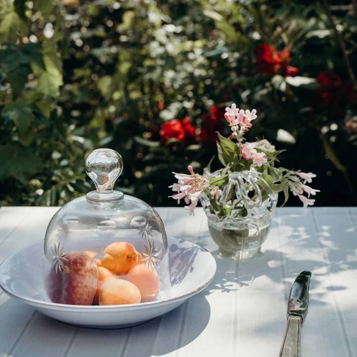 CASAgent - Wholesale Serving Plate - Pasta plate 258