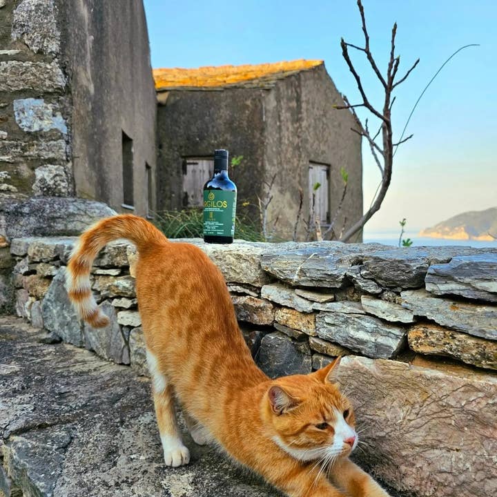 ARGILOS - Wholesale Olive Oil - ARGILOS II GREEN Greek Extra Virgin Olive Oil (500ml)10