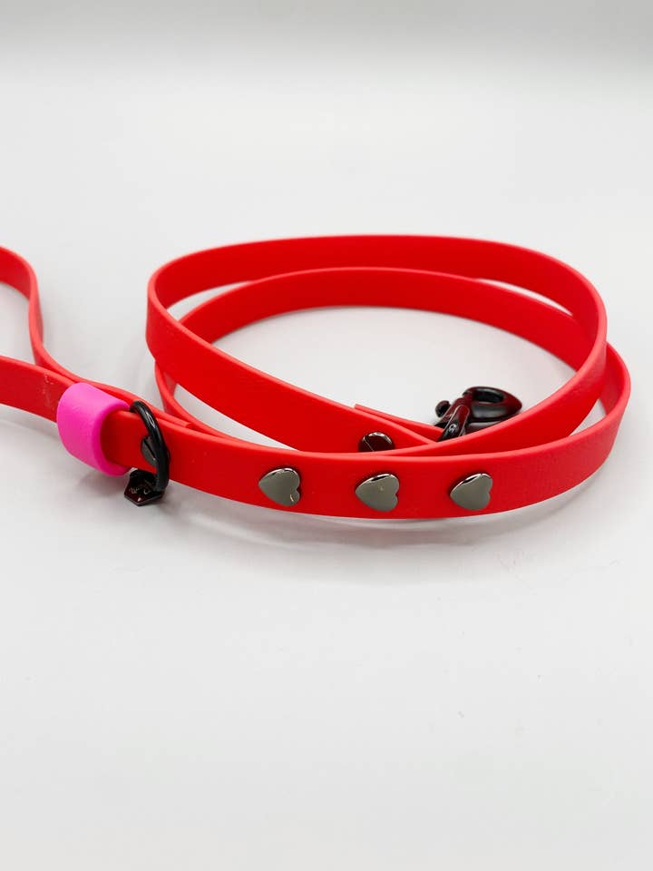 True Love Valentines Dog Leash for wholesale by Lucky Me Co