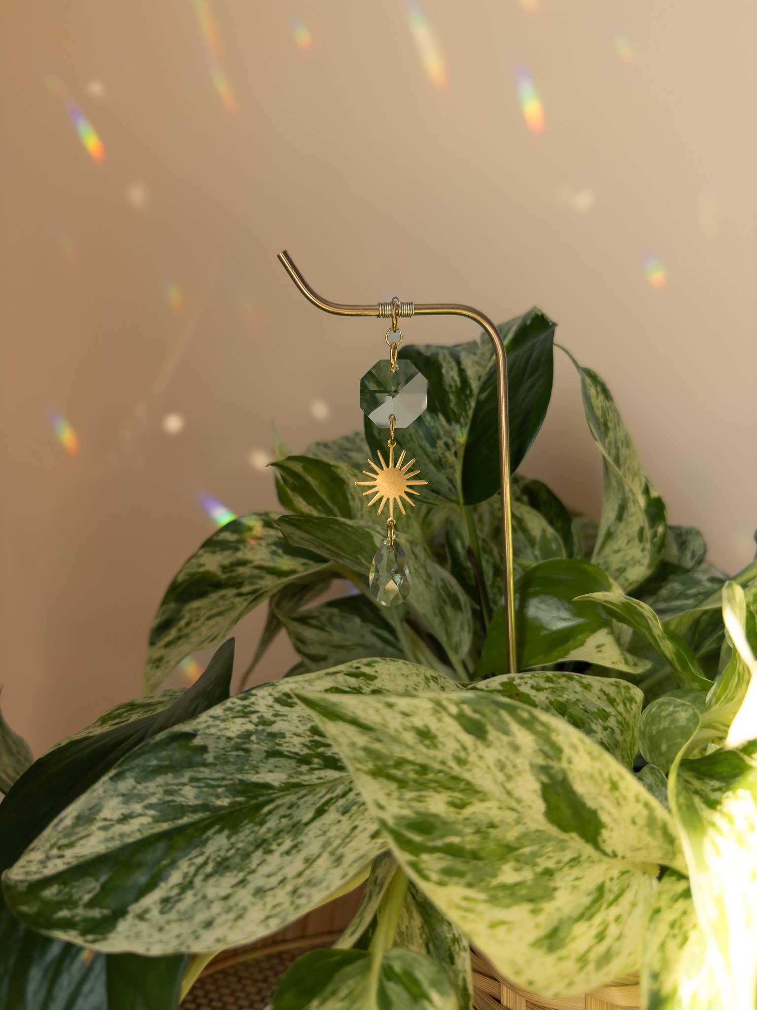 Meraki The Studio Co. - Wholesale Garden/Lawn Stake - Plant Stake | Suncatcher + Sun Charm | Houseplant Accessory3