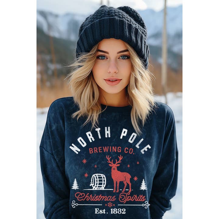 NORTH POLE BREWING CO. MINERAL GRAPHIC SWEATSHIRTS for engroshandel hos HRTandLUV
