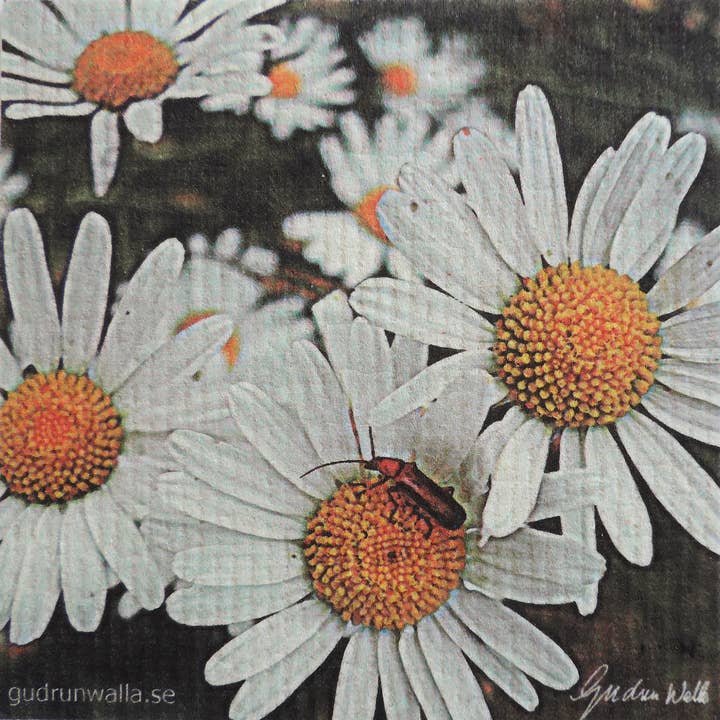 Swedish Dishcloth - Daisies for wholesale by Scandinavian Specialties