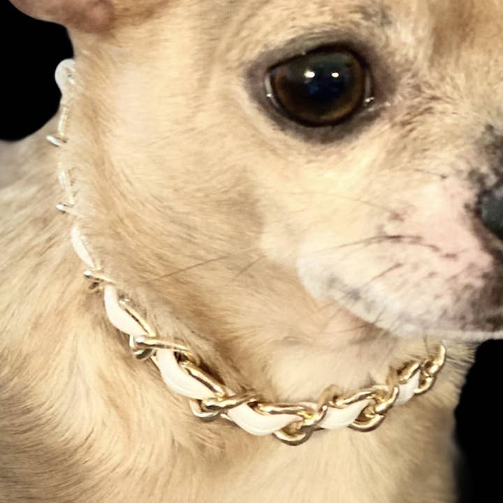 Leatherorzo Collar for wholesale by Bark Fifth Avenue