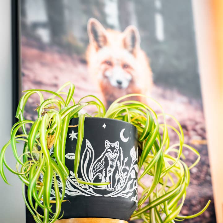 Simply Supplied Co - Wholesale Plant Pot - Fox Sgraffito Planter | Modern Boho Pottery | Terracotta2