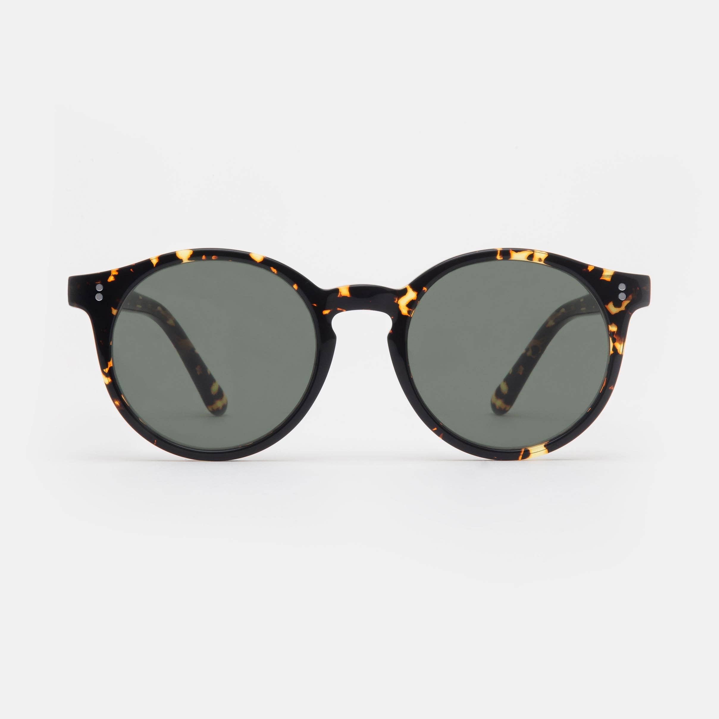 FORA - Wholesale Sunglasses - Unisex - Unisex Wayfarer Sunglasses | Dreamer | Acetate12