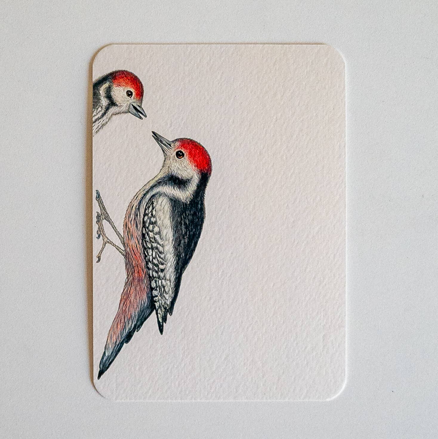 Studio Binck - Wholesale Ansichtkaart - Ansichtkaart KLOP KLOP, WIE IS DAAR0