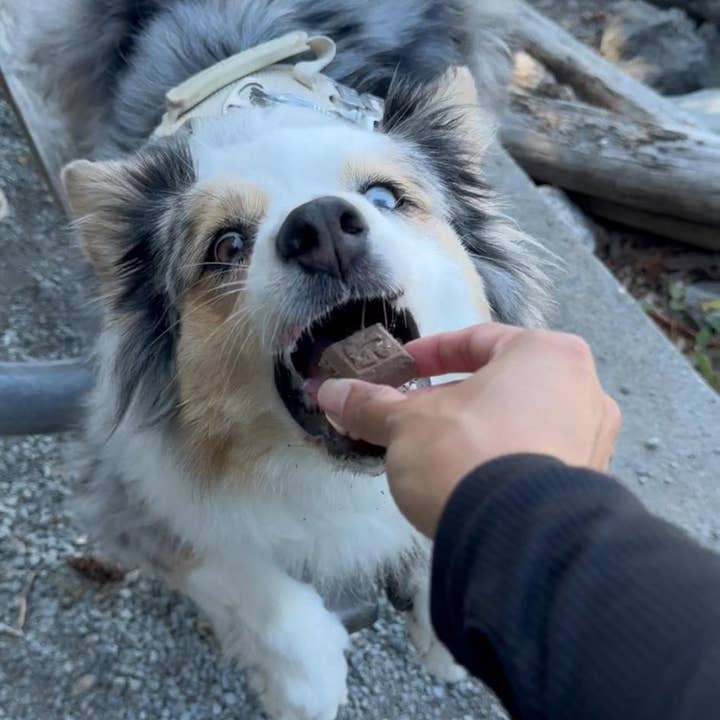 Glacier's Goodies - Wholesale Pet Treats - Dog - Goat Milk Dog Treats – Mixed Flavors (7oz) 18pack8