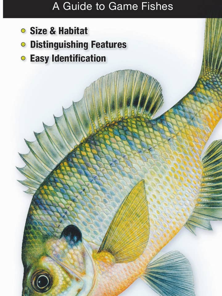 Poissons d'eau douce du Missouri pour la vente par Quick Reference Publishing, Inc