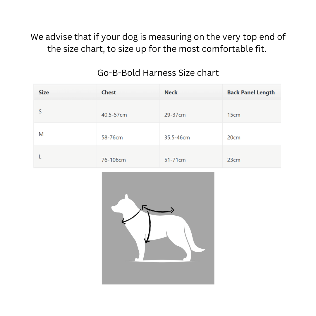 NEERDOG | Dog Harnesses | Dog Leads | Dog Collars | Coats – wholesale Pet harness – Dog – GO-B-BOLD Dog Harness | Breathable | Adjustable | Green9