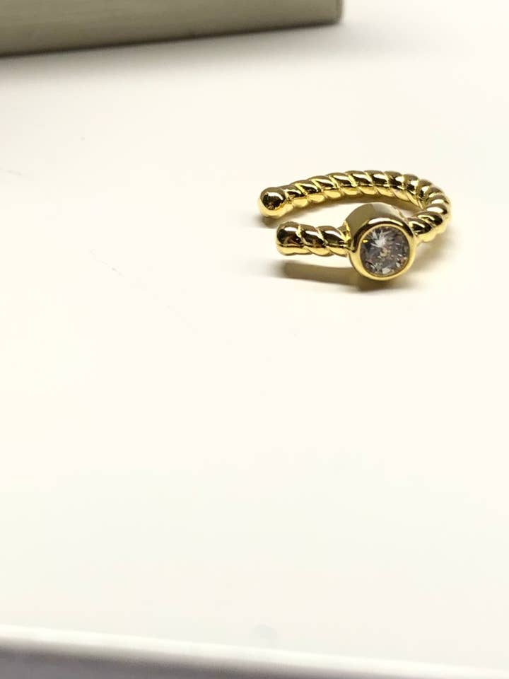 Viskande Blad Örhängen D silver 925 för wholesale av DEMARCA