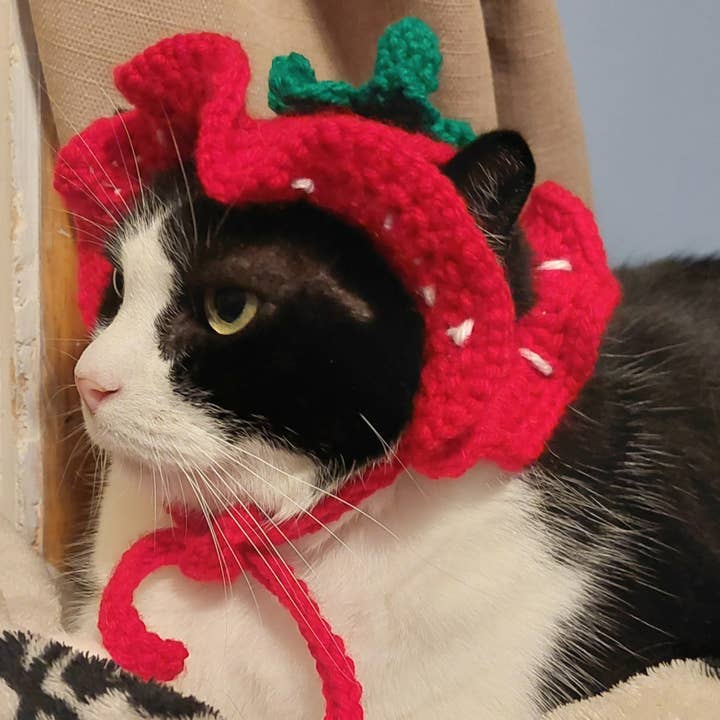 Glitter Ghost Clothing and Accessories – Engroshandel Hundehat - Hund – Hæklet Jordbærhue - Kattehjelm - Pet Hat12