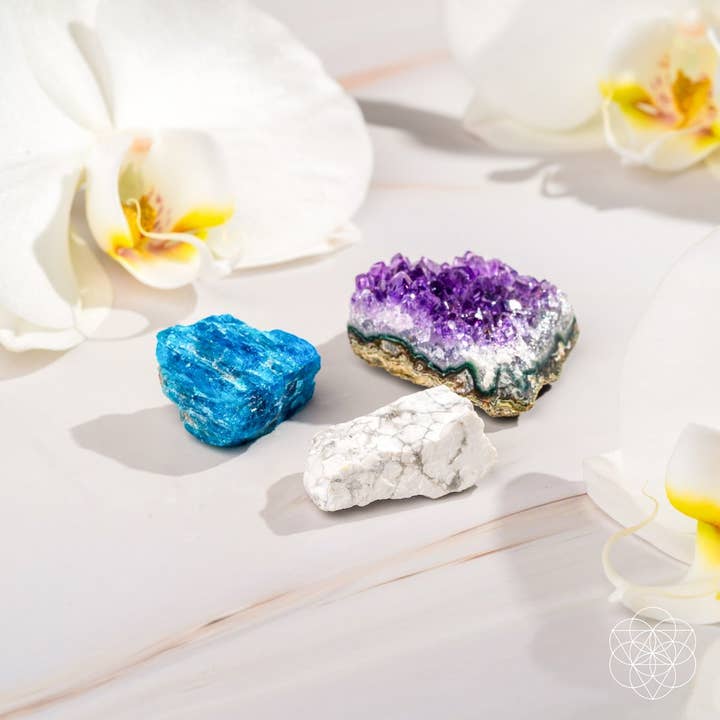 Das Anti-Angst-Trio für den Großhandel von Conscious Items