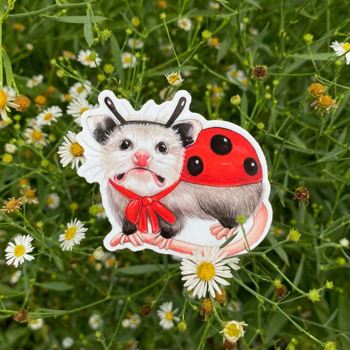 Allison Stoiser Art - Wholesale Sticker - Ladybug Opossum Halloween Costume Weatherproof Vinyl Sticker