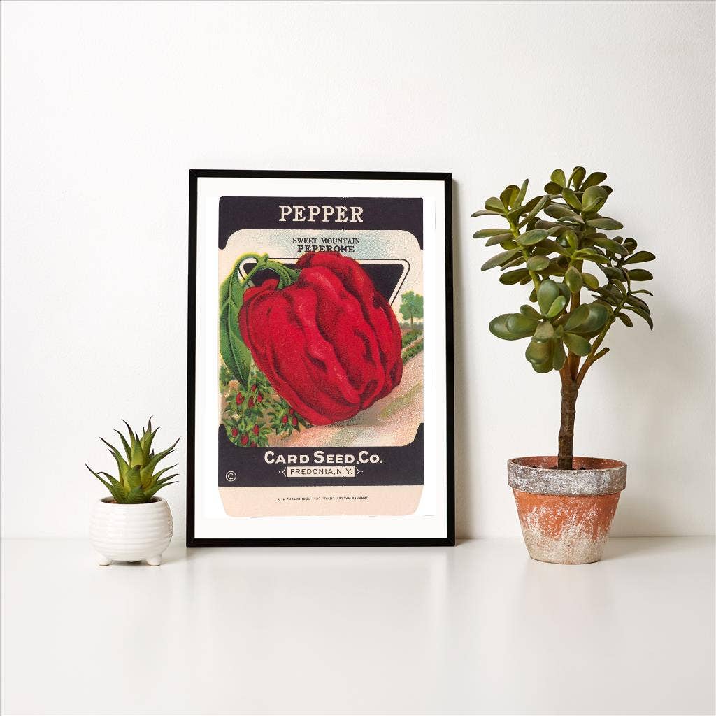 Found Image Press - Vendita all'ingrosso Stampa artistica - Stampa d'Arte FR-345 Bustina di Semi di Peperone Rosso1