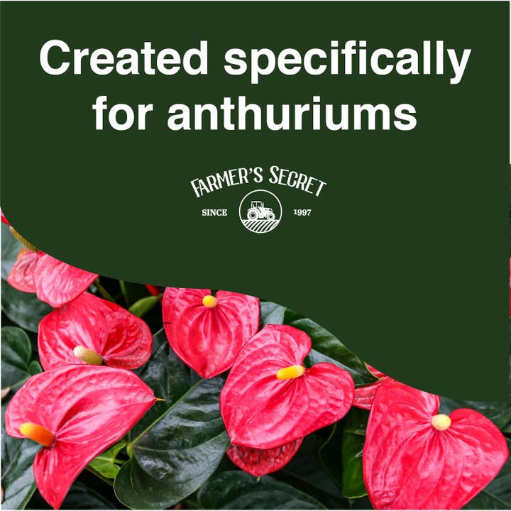 Farmer's Secret - Wholesale Fertilizer - Anthurium Plant Food 8oz3