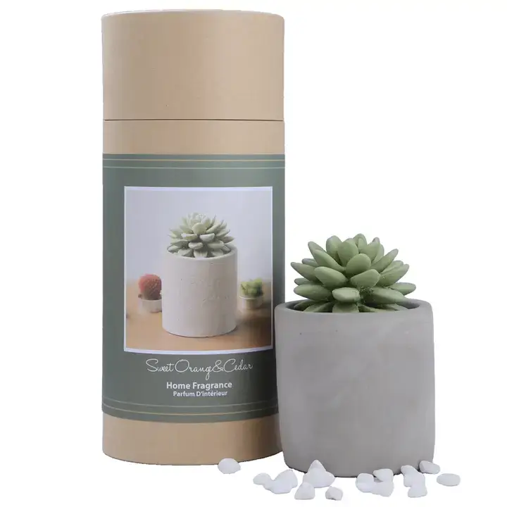 Pretty Valley Home - Wholesale Diffuser Fragrance Refill - Succulent in Planter Diffuser Gift Set for Home Decor2
