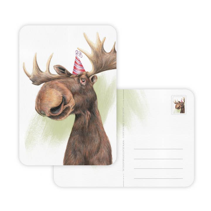 Postcard, Birthday Card, Animal Greeting Cards, Moose, Elk for wholesale by Beast of Paradise