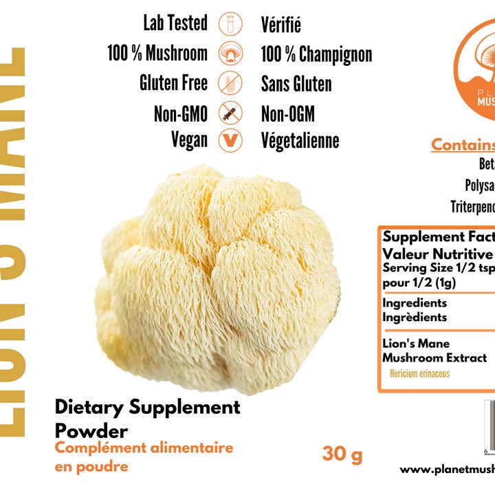 Lion's Mane Extract for wholesale by Planet Mushrooms