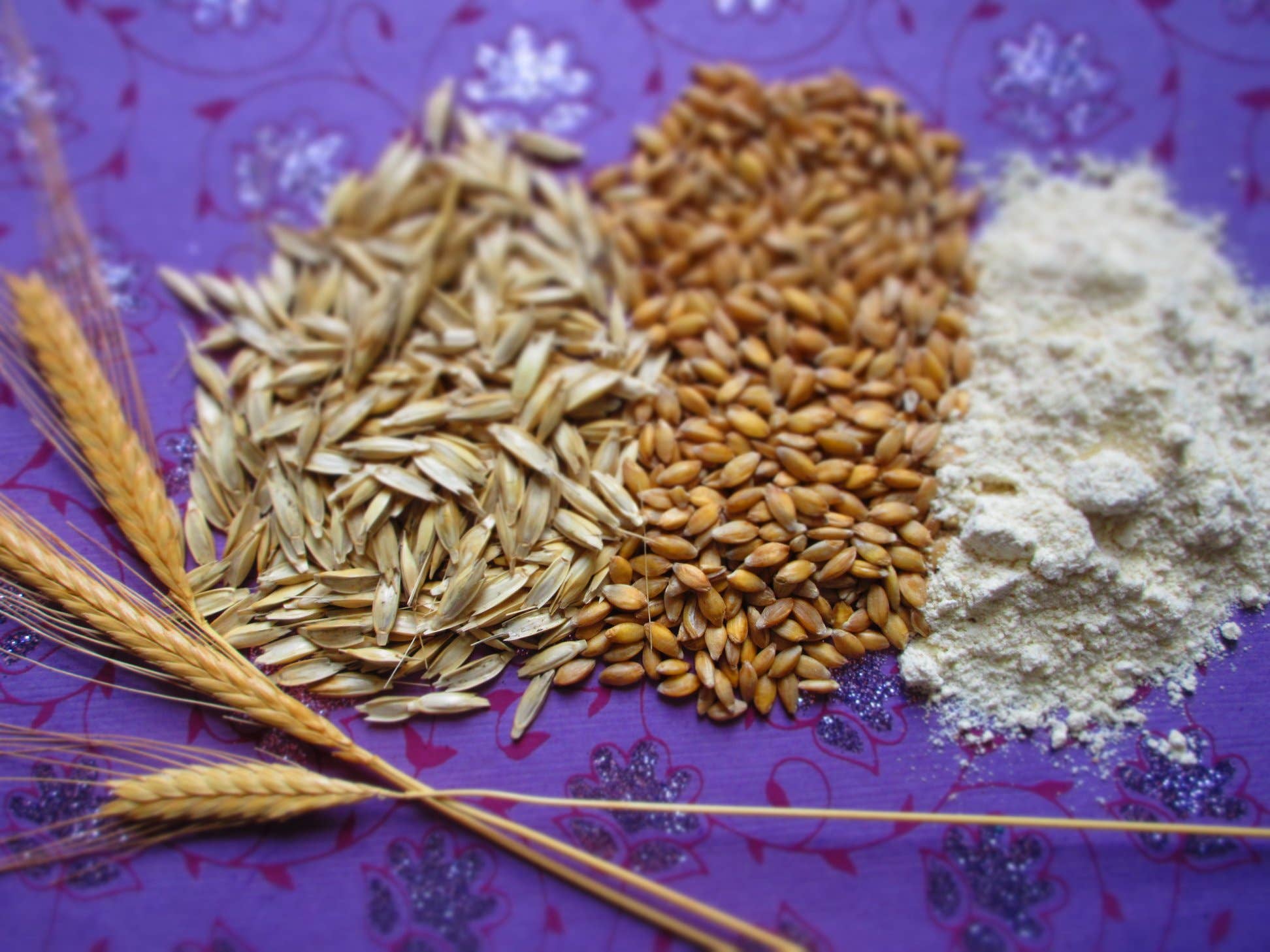 CONSERVES GUINTRAND - Wholesale Preserves - Mont Ventoux small spelt (provençal recipe) PG 314 ml (jar)5