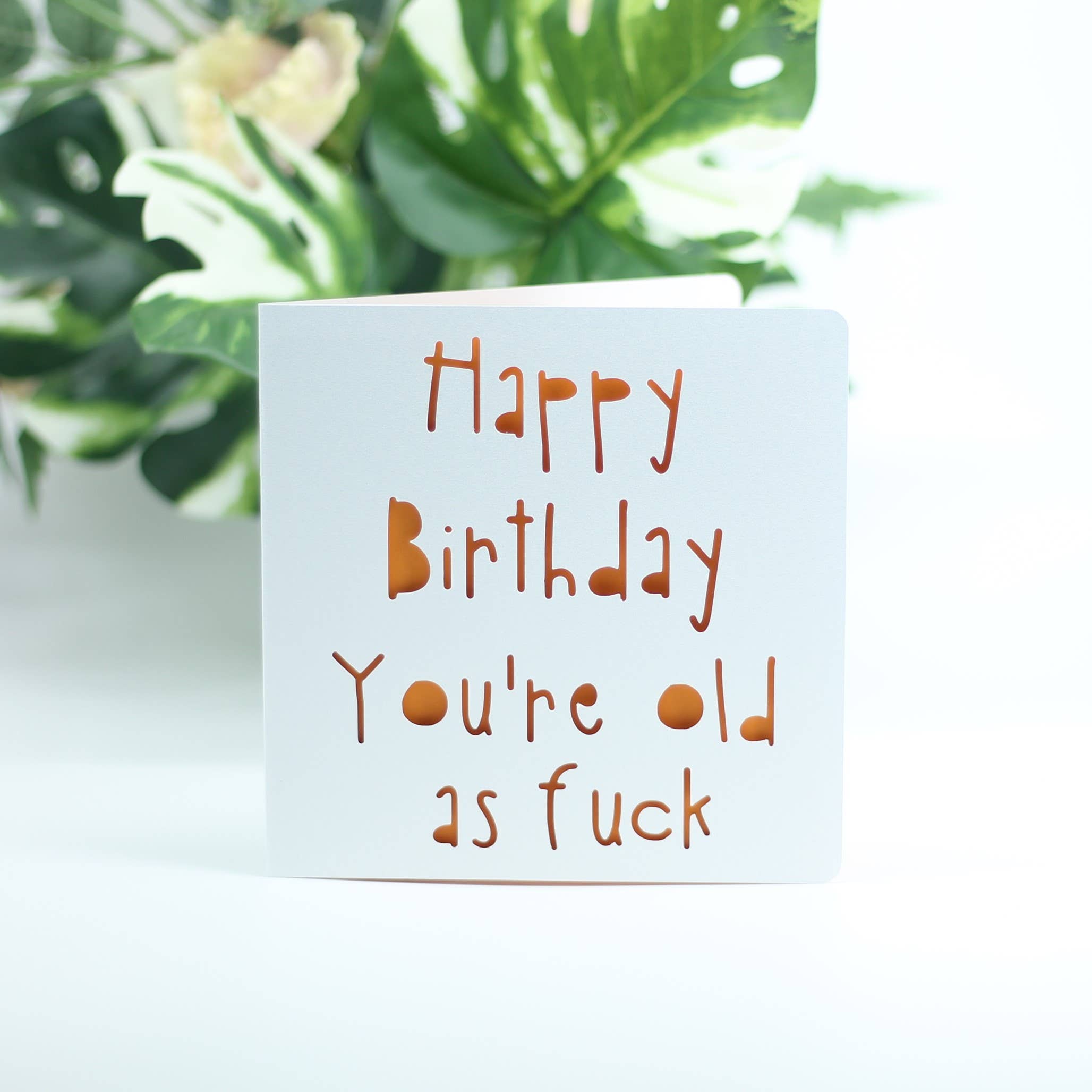 Paradise Papercraft - Vendita all'ingrosso Biglietti di auguri - Buon compleanno, sei vecchio come fottuto2